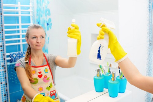 Illustration representing cookie use on a cleaning service website