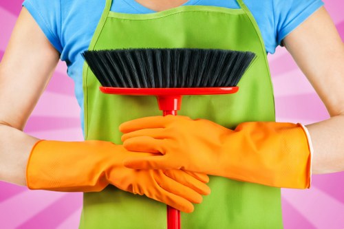SSL encrypted online carpet cleaning payment process