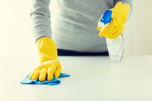 Stain removal and fibre care for carpet cleaning in Grangepark