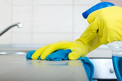 Common household stains requiring cleaning in Grangepark