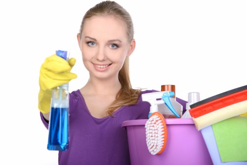 Home stain removal products and cleaning tools